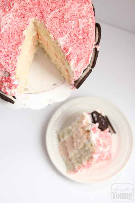 Peppermint cheesecake cake