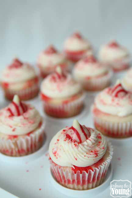 The Best Peppermint Cupcakes Recipe featured by top US food blog, Among the Young