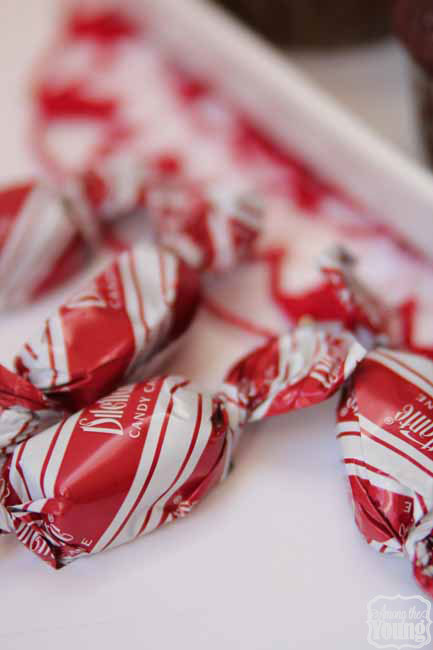 Peppermint Truffle Cupcakes