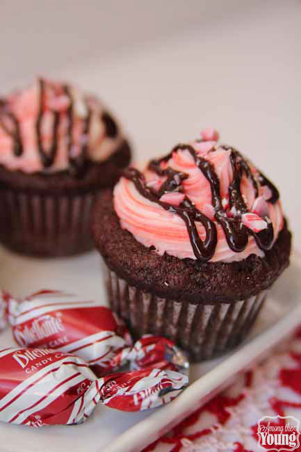 Peppermint Truffle Cupcakes