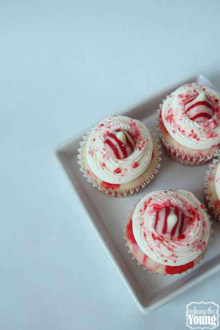 The Best Peppermint Cupcakes Recipe featured by top US food blog, Among the Young