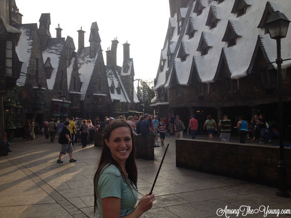 Wizarding World of Harry Potter Tips featured by top US lifestyle blog, Among the Young