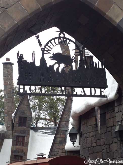 Wizarding World of Harry Potter Tips featured by top US lifestyle blog, Among the Young