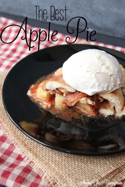 the very best apple pie recipe