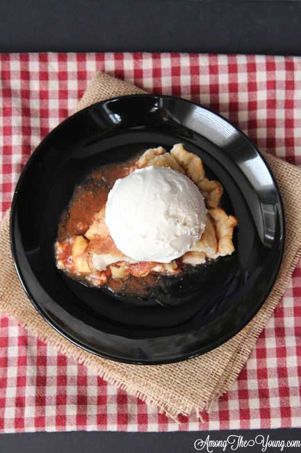 the very best apple pie recipe