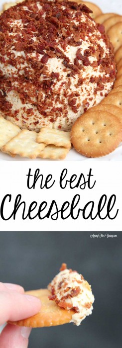 The Best Cheese ball Recipe | Among the Young