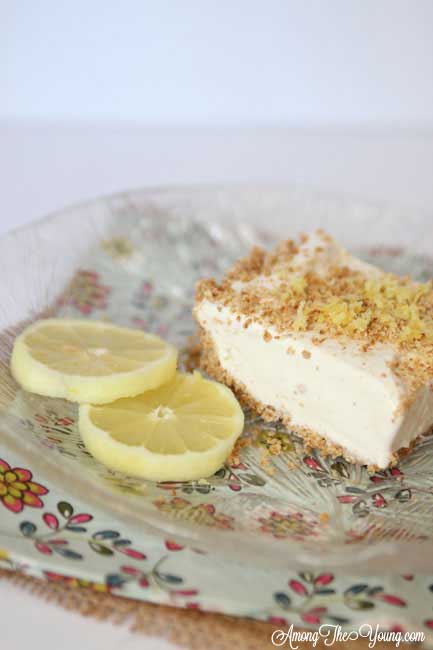 Lemon Ice Cream Dessert Recipe featured by top US food blog, Among the Young