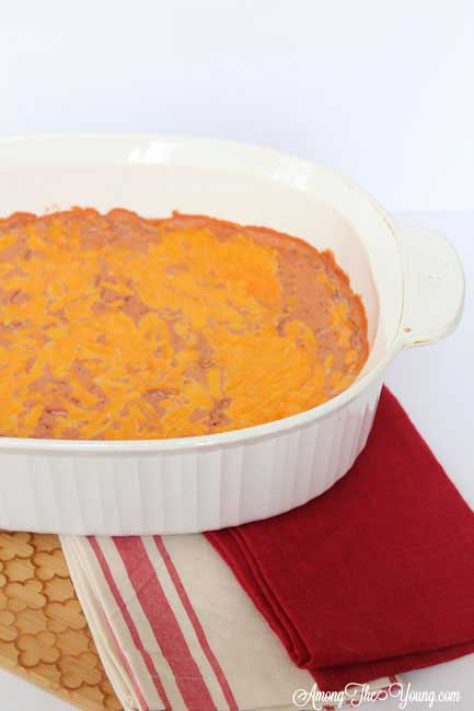 Bean Dip