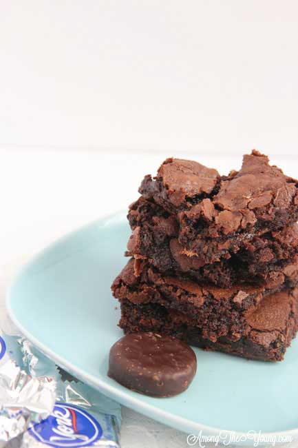 Peppermint Brownies