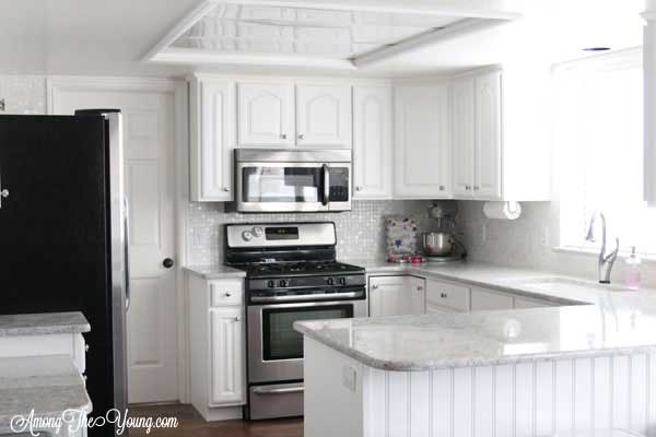 kitchen remodel 