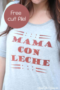 The Best mama shirt featured by top Utah fashion blog, Among the Young: image of Mama Con Leche DIY vinyl shirt PIN