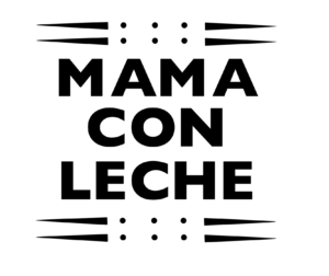 The Best mama shirt featured by top Utah fashion blog, Among the Young: image of Mama Con Leche DIY vinyl shirt cut file