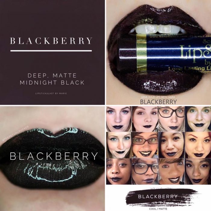 Lipsense Colors featured by top US lifestyle blog and Lipsense distributor, Kaylynn of Among the Young: image of Blackberry