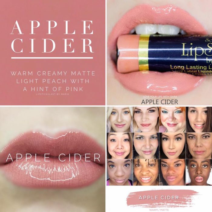 Lipsense Colors featured by top US lifestyle blog and Lipsense distributor, Kaylynn of Among the Young: image of Apple Cider