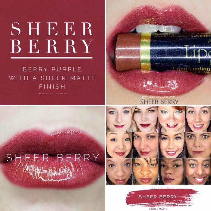 Lipsense Colors featured by top US lifestyle blog and Lipsense distributor, Kaylynn of Among the Young: image of Sheer Berry