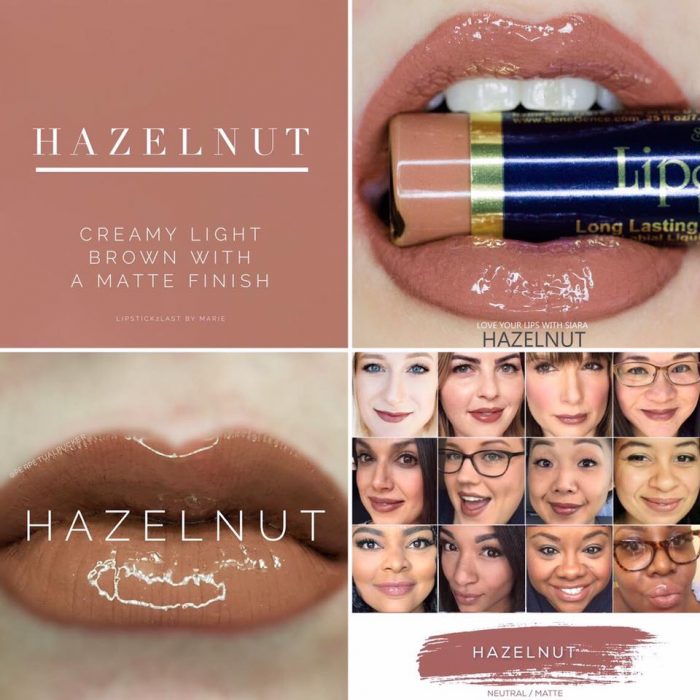 Lipsense Colors featured by top US lifestyle blog and Lipsense distributor, Kaylynn of Among the Young: image of Hazelnut