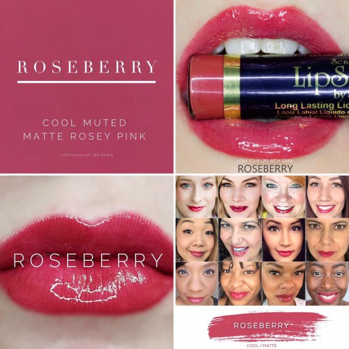 Lipsense Colors featured by top US lifestyle blog and Lipsense distributor, Kaylynn of Among the Young: image of Roseberry