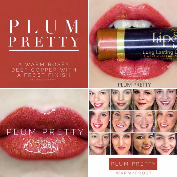 Lipsense Colors featured by top US lifestyle blog and Lipsense distributor, Kaylynn of Among the Young: image of Plum Pretty