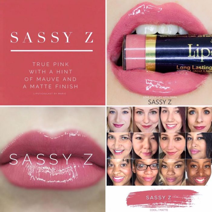 Lipsense Colors featured by top US lifestyle blog and Lipsense distributor, Kaylynn of Among the Young: image of Sassy Z