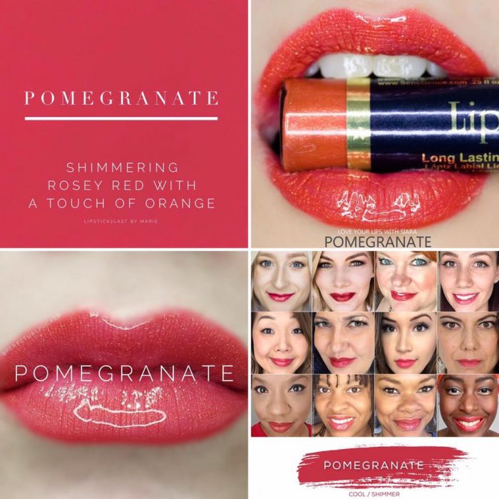 Lipsense Colors featured by top US lifestyle blog and Lipsense distributor, Kaylynn of Among the Young: image of Pomegranate