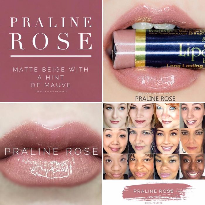 Lipsense Colors featured by top US lifestyle blog and Lipsense distributor, Kaylynn of Among the Young: image of Praline Rose