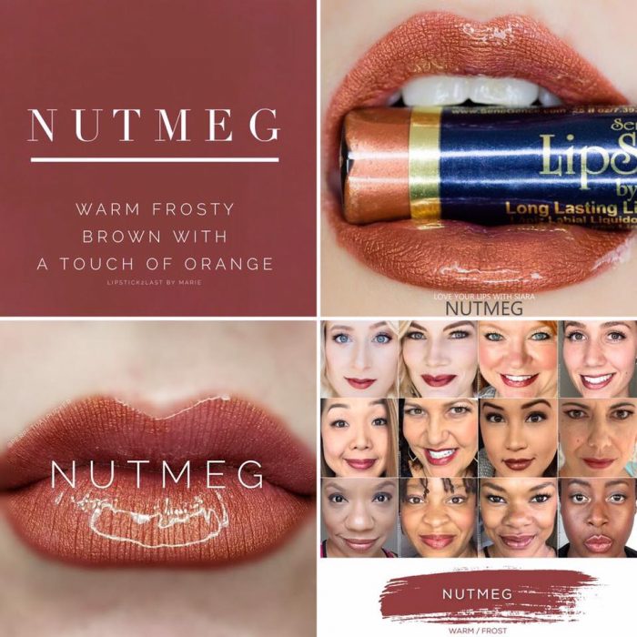 Lipsense Colors featured by top US lifestyle blog and Lipsense distributor, Kaylynn of Among the Young: image of Nutmeg