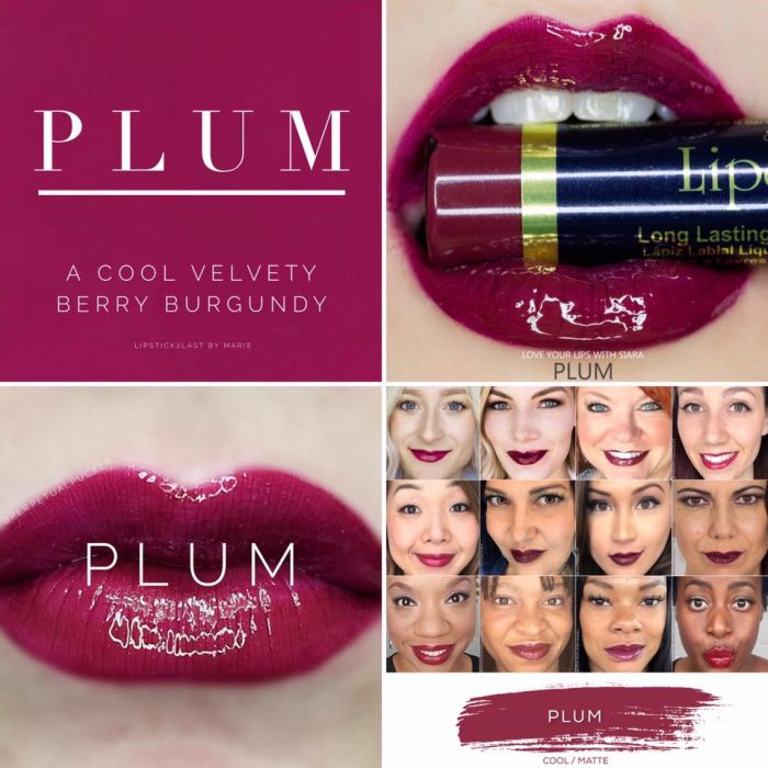 Lipsense Colors featured by top US lifestyle blog and Lipsense distributor, Kaylynn of Among the Young: image of Plum