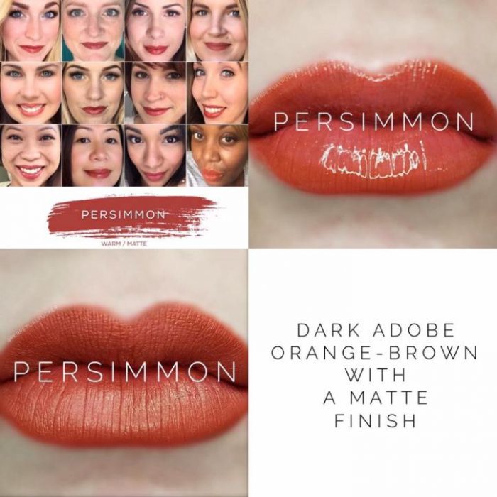 Lipsense Colors featured by top US lifestyle blog and Lipsense distributor, Kaylynn of Among the Young: image of Persimmon