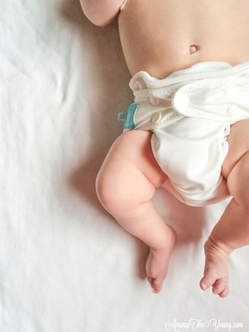  Smart Bottom Cloth Diapers review featured by top US lifestyle blog, Among the Young