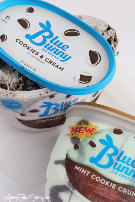 Blue Bunny Ice Cream Cake Recipe featured by top US food blog, Among the Young