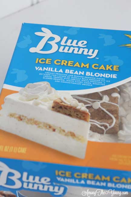 Blue Bunny Ice Cream Cake Recipe featured by top US food blog, Among the Young