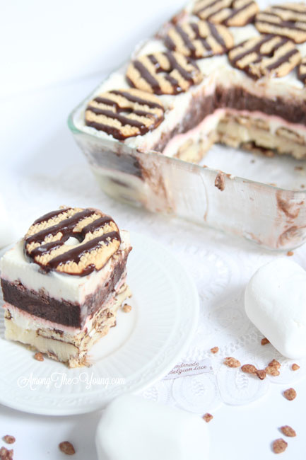 no bake dessert