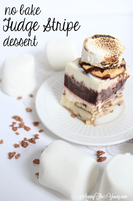 no bake dessert