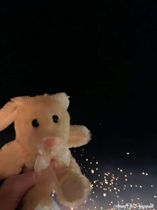 sibling loss featured by top Utah lifestyle blog, Among the Young: image of lanternfest | Sibling Loss: 7 Essential Tips to Help your Child Grieve by popular Utah lifestyle blog, Among the Young: image of a stuffed bunny with floating paper lanterns in the background.