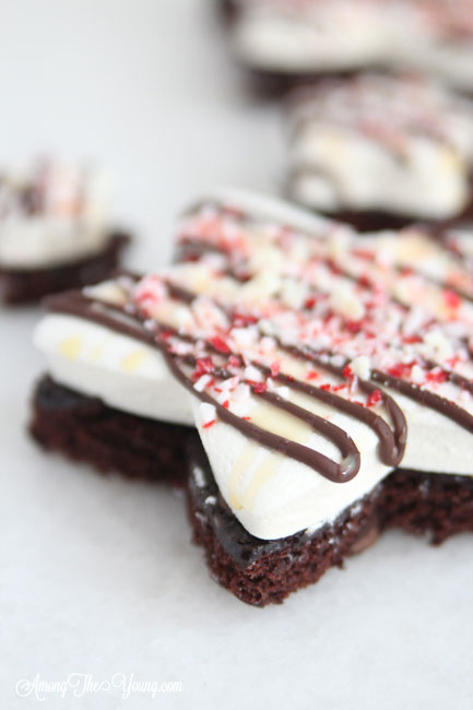 Chocolate Peppermint Mallow Stars