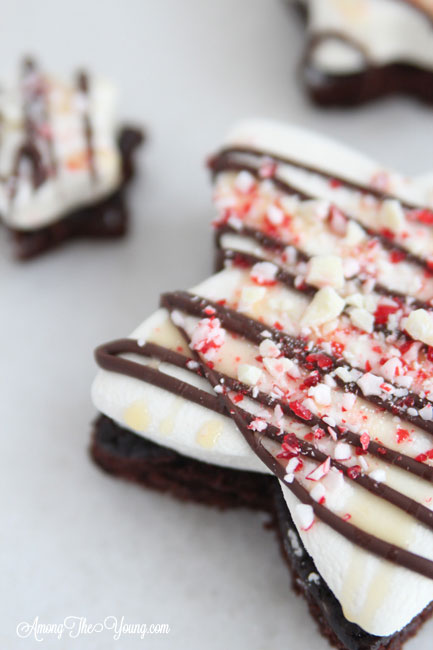 Chocolate Peppermint Mallow Stars