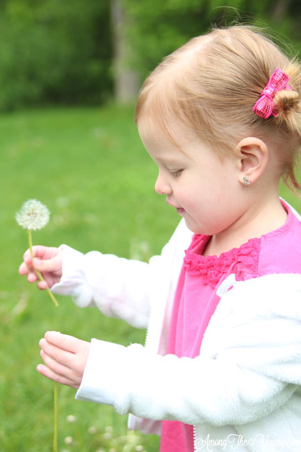 Ergo baby carrier clearance dandelion