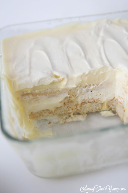 The Best Egg Nog Tiramisu featured by top Utah Foodie blog, Among the Young: image of white tiramisu in pan