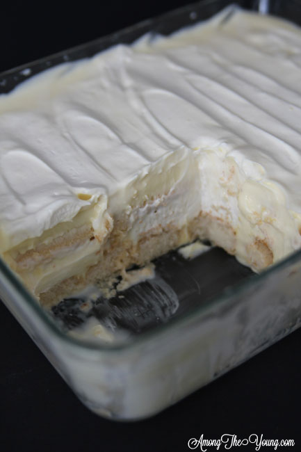 The Best Egg Nog Tiramisu featured by top Utah Foodie blog, Among the Young: image of black backdrop of tiramisu in pan