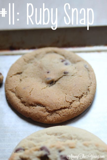 The Best Chocolate Chip Cookie