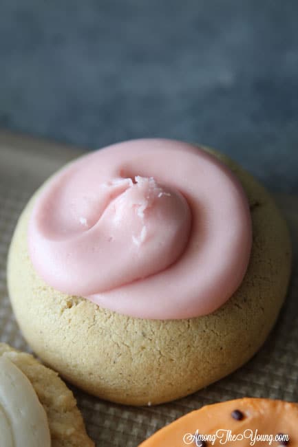 The Best Sugar Cookie in Utah featured by top Utah Foodie blog, Among the Young: image of Ruby Snap sugar cookie