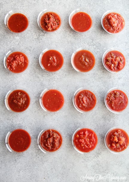 The Best Store bought salsa featured by top US lifestyle blog, Among the Young