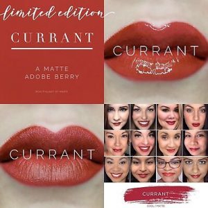 Lipsense Colors featured by top US lifestyle blog and Lipsense distributor, Kaylynn of Among the Young: image of Currant