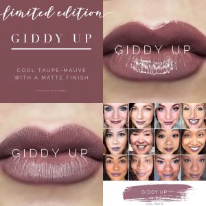 Lipsense Colors featured by top US lifestyle blog and Lipsense distributor, Kaylynn of Among the Young: image of Giddy Up