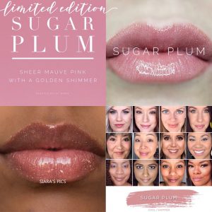 Lipsense Colors featured by top US lifestyle blog and Lipsense distributor, Kaylynn of Among the Young: image of Sugar Plum