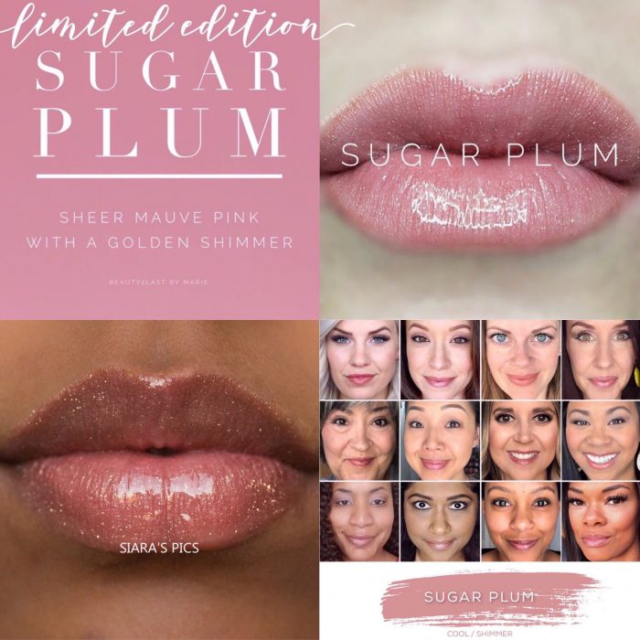 Lipsense Colors featured by top US lifestyle blog and Lipsense distributor, Kaylynn of Among the Young: image of Sugar Plum