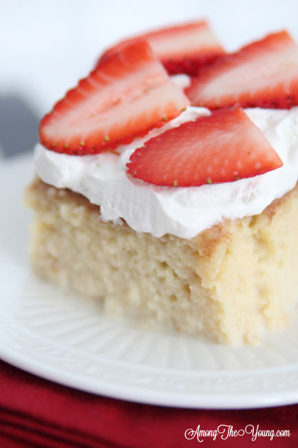 The most delicious tres leches cake featured by top Utah Foodie blog, Among the Young: image of tres leches close up | Easy Tres Leches Recipe by popular Utah lifestyle blog, Among the Young: Pinterest image of Tres Leches cake. 