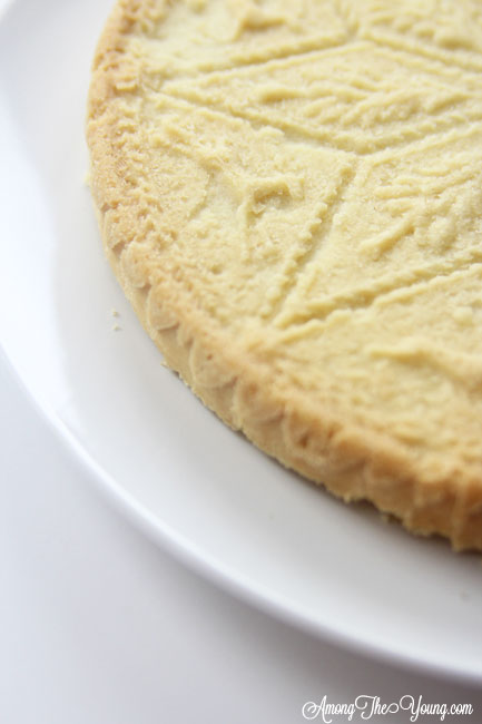 The Best Scottish Shortbread recipe featured by top Utah Foodie Among the Young: image of scottish shortbread recipe from the side | Traditional Scottish Shortbread Recipe for the Holidays by popular Utah food blog, Among the Young; image of Scottish shortbread.