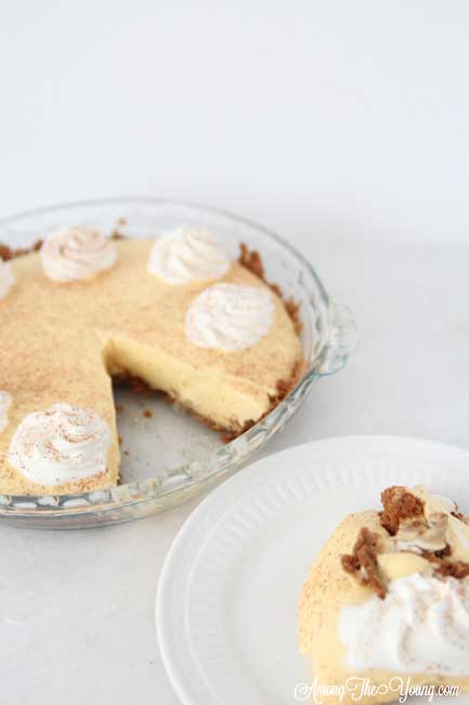 The Best Egg Nog Pie recipe featured by top Utah Foodie blog, Among the Young: image of Egg Nog Pie and slice | Egg Nog Pie by popular Utah lifestyle blog, Among the Young: image of a egg nog pie. 