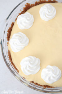 The Best Egg Nog Pie recipe featured by top Utah Foodie blog, Among the Young: image of Egg Nog Pie from above without Nutmeg